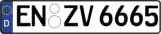 EN-ZV6665