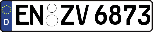 EN-ZV6873