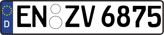 EN-ZV6875