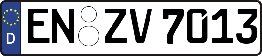 EN-ZV7013