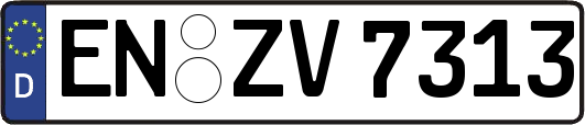 EN-ZV7313