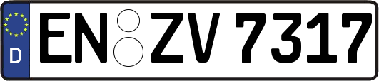 EN-ZV7317