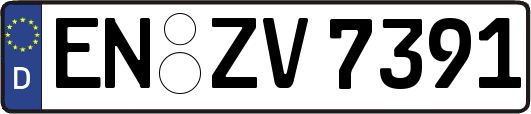 EN-ZV7391