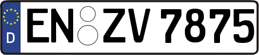 EN-ZV7875