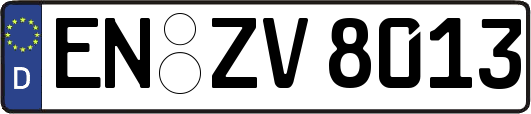 EN-ZV8013