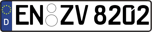 EN-ZV8202