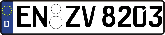 EN-ZV8203