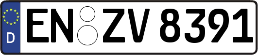 EN-ZV8391