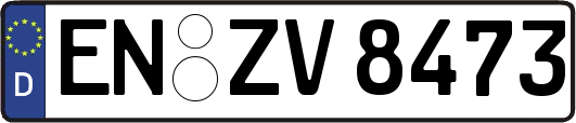 EN-ZV8473