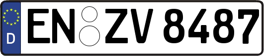 EN-ZV8487