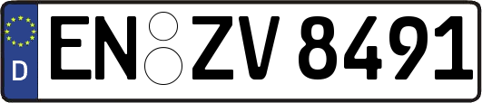 EN-ZV8491