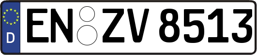 EN-ZV8513