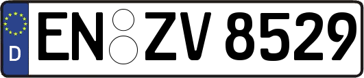 EN-ZV8529