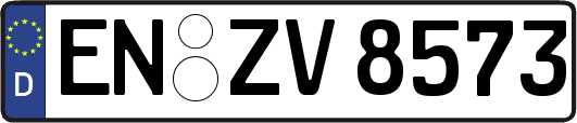 EN-ZV8573