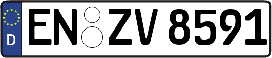 EN-ZV8591