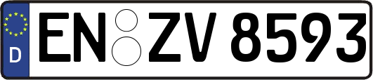 EN-ZV8593