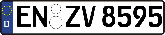 EN-ZV8595