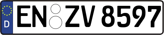 EN-ZV8597