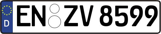 EN-ZV8599