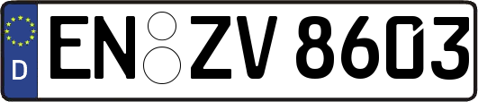 EN-ZV8603