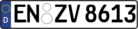 EN-ZV8613