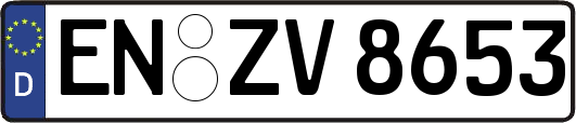 EN-ZV8653