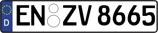 EN-ZV8665