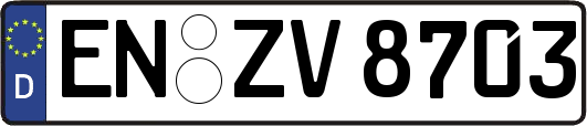 EN-ZV8703