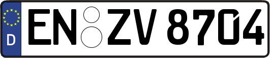 EN-ZV8704