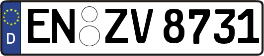 EN-ZV8731