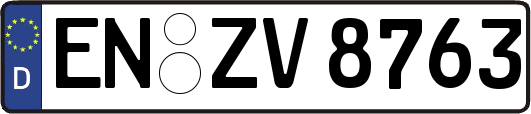 EN-ZV8763