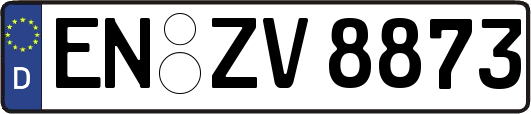 EN-ZV8873