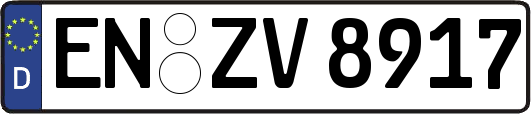 EN-ZV8917