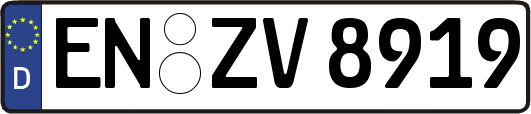 EN-ZV8919