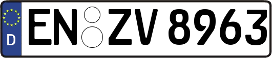 EN-ZV8963