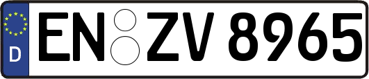 EN-ZV8965