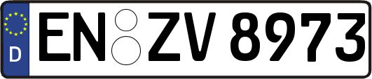 EN-ZV8973