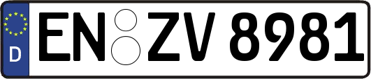 EN-ZV8981