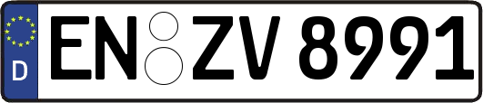 EN-ZV8991