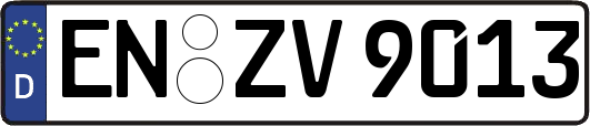 EN-ZV9013