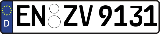 EN-ZV9131