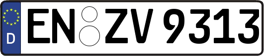 EN-ZV9313