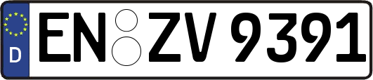 EN-ZV9391