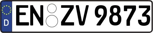 EN-ZV9873