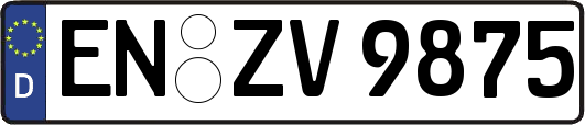 EN-ZV9875