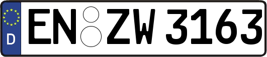 EN-ZW3163