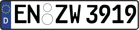 EN-ZW3919