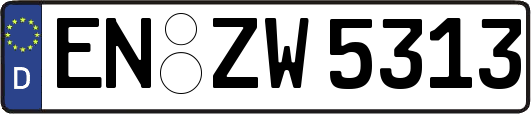 EN-ZW5313