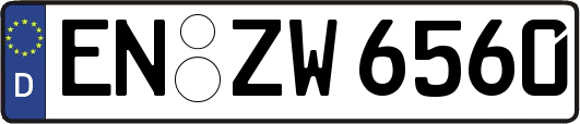 EN-ZW6560