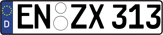EN-ZX313